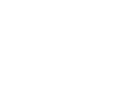 Tulpar Logo